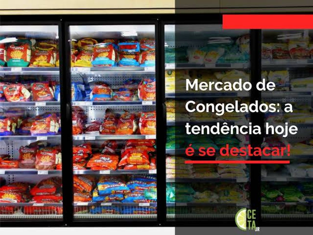 Productos Você vai Aprender Absolutamente tudo sobre Fabricação