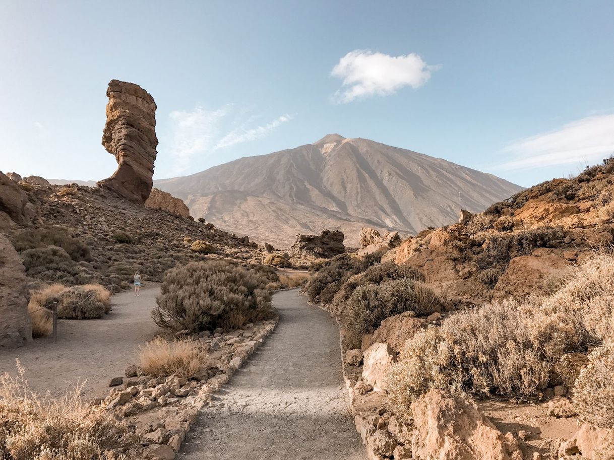 Lugar Parque Nacional del Teide