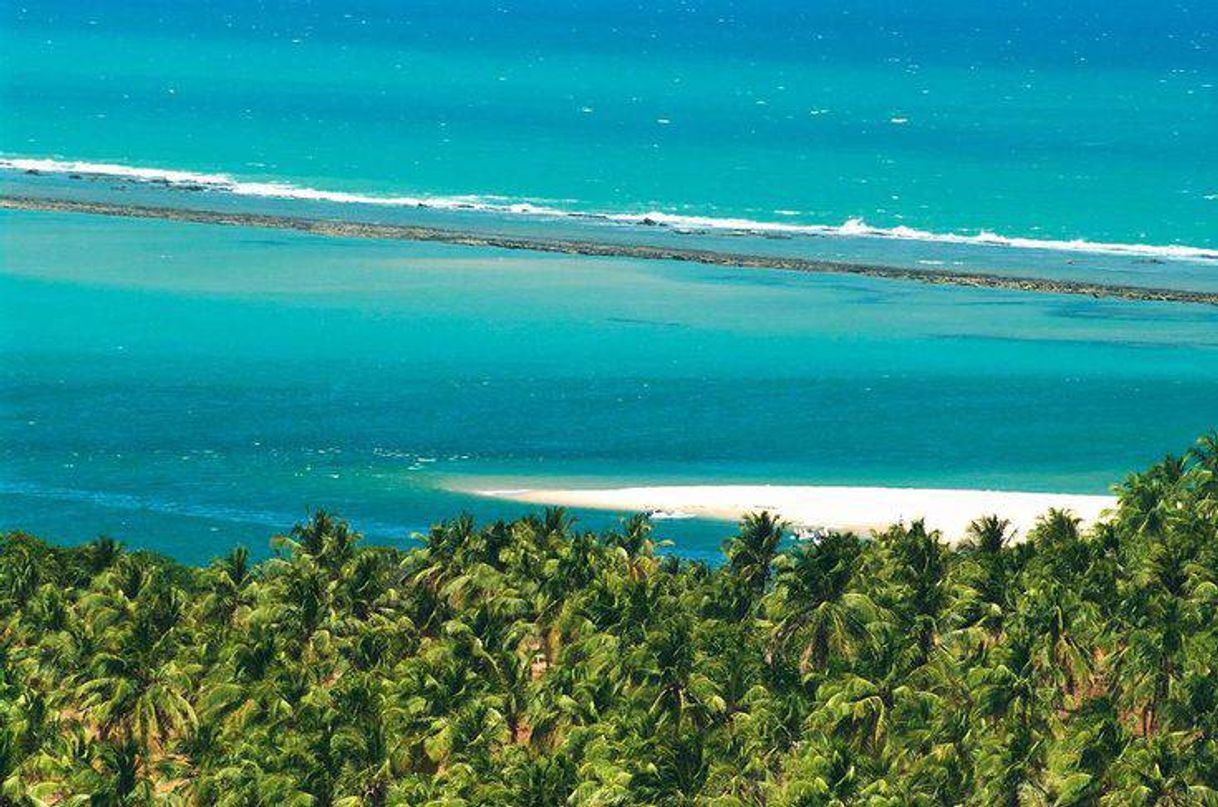 Lugar Praia do gunga maceió