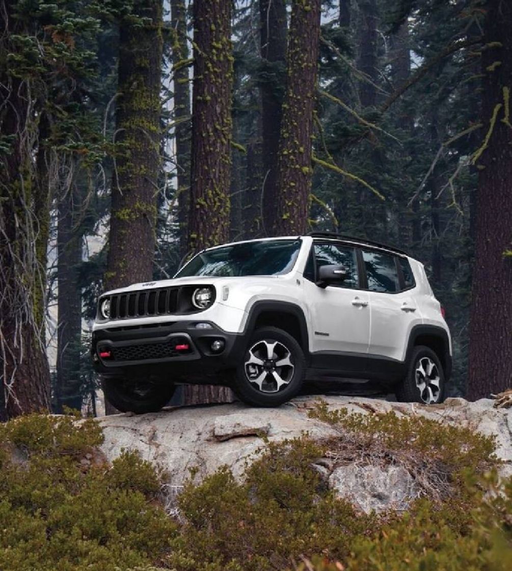 Moda Jeep Renegade 