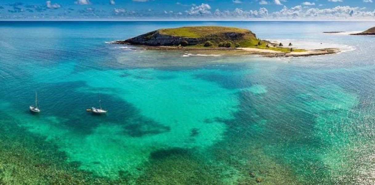 Lugar Arquipélago de Abrolhos