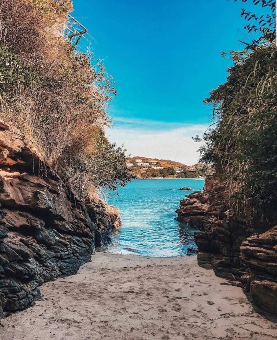 Lugar Praia da Ferradura