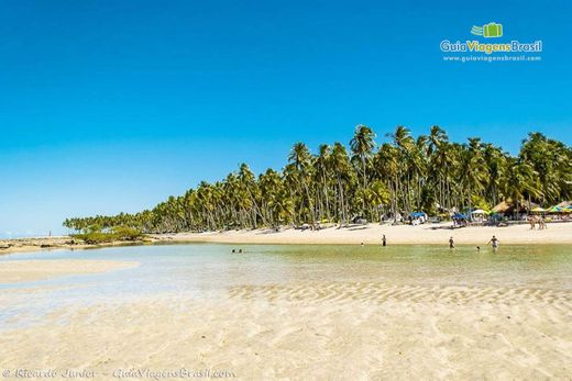 Praia dos Carneiros