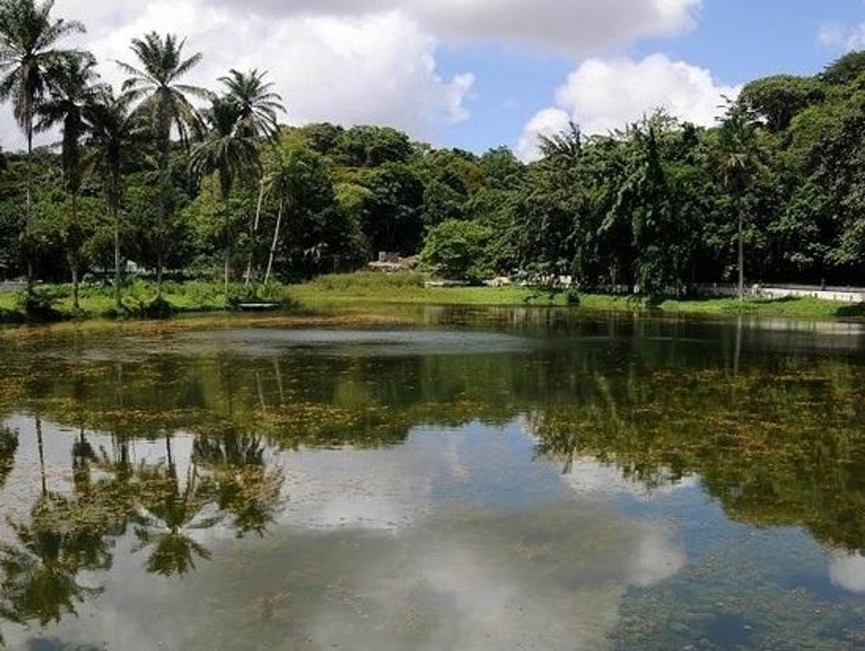 Lugar Parque Estadual de Dois Irmãos