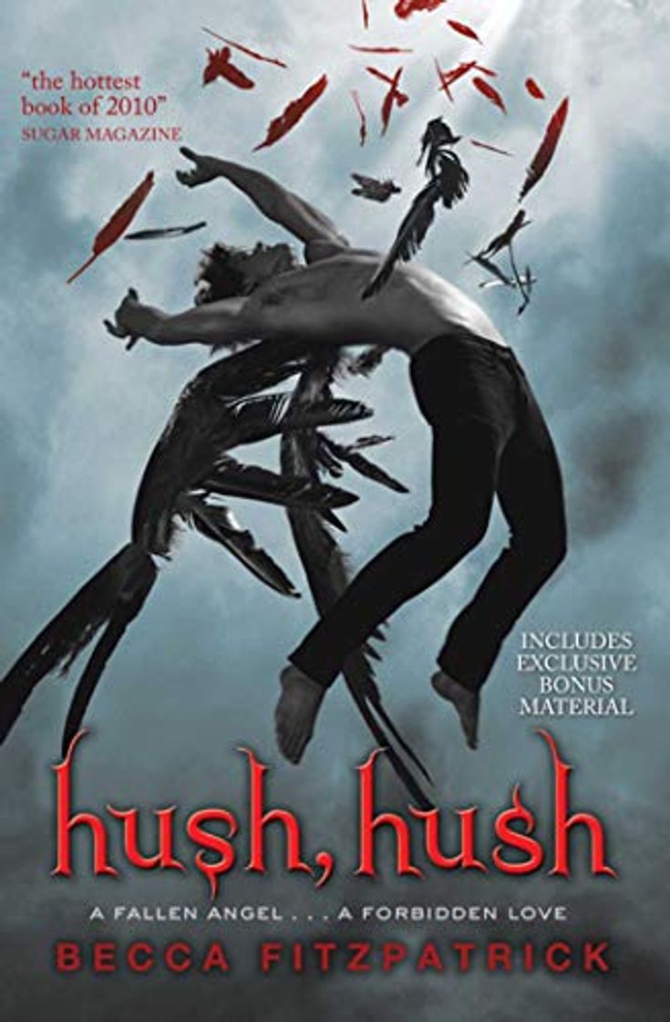 Book Hush, Hush: 1