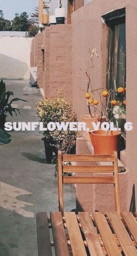 Sunflower, vol 6 - Wallpaper 