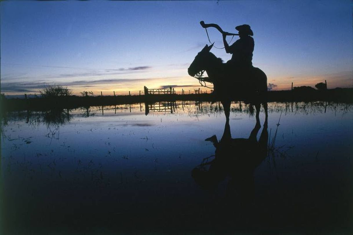 Moda PANTANAL - BRASIL 