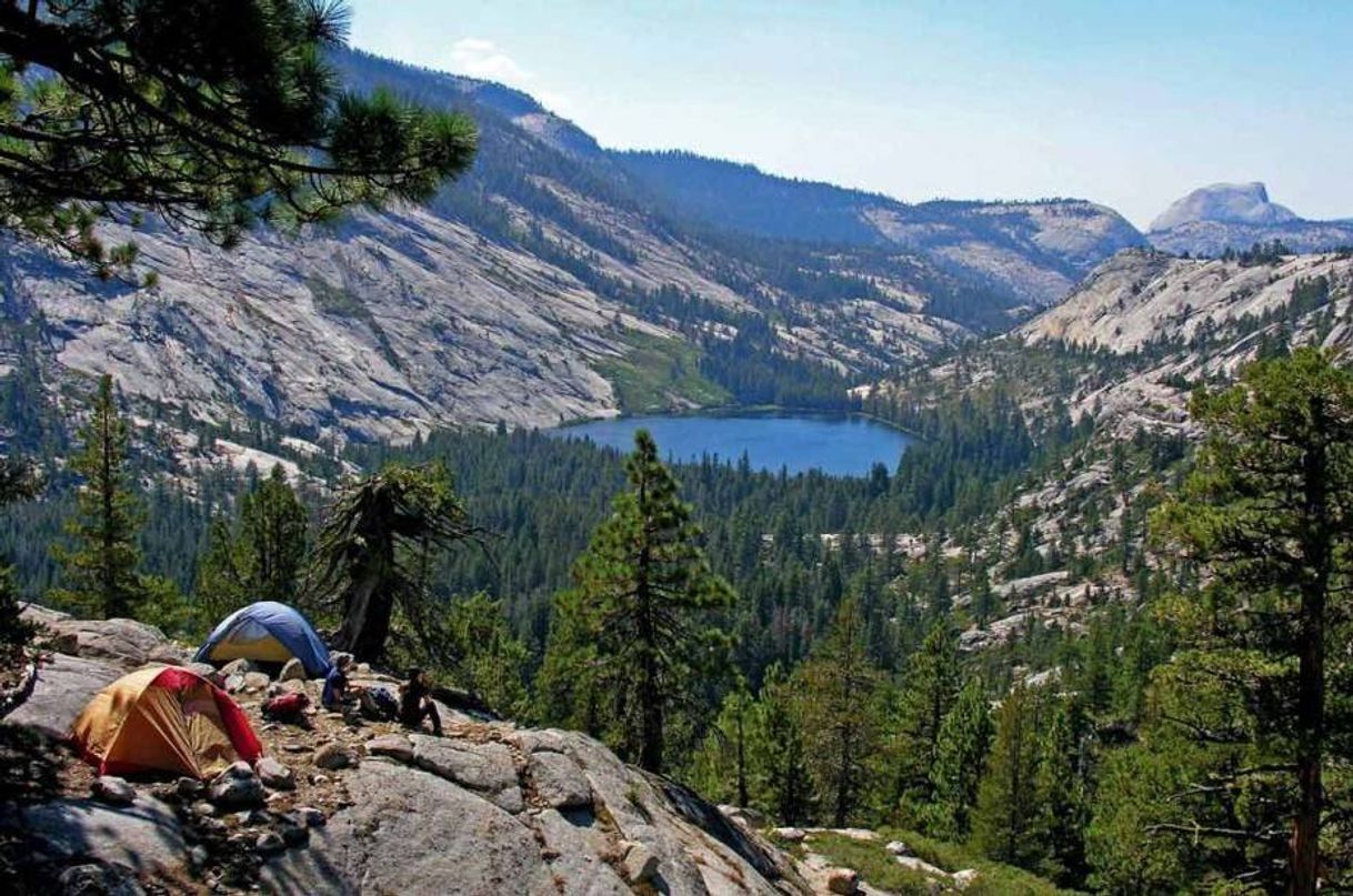 Moda Yosemite - Estados Unidos