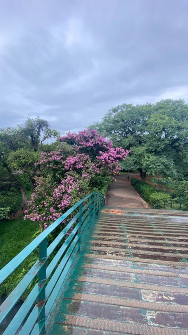 Lugar Parque Ibirapuera