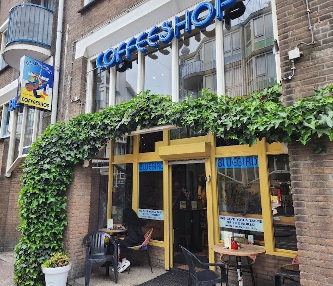 Places Coffeeshop "Blue Bird"