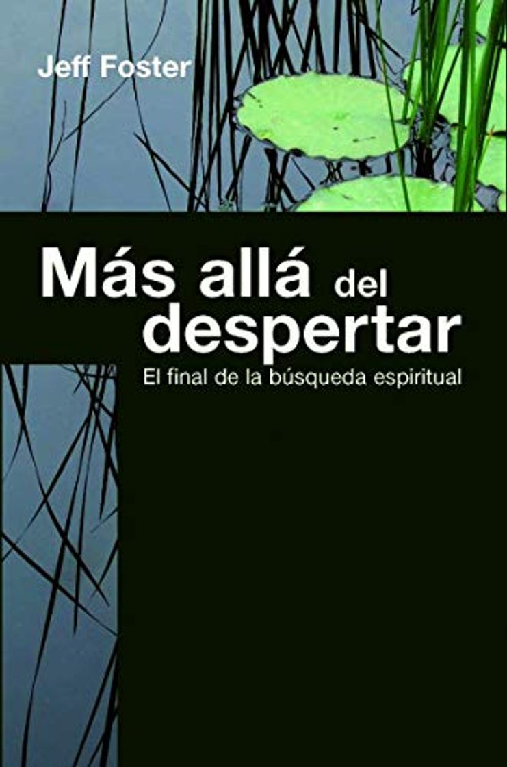 Books Más allá del despertar: El final de la búsqueda espiritual