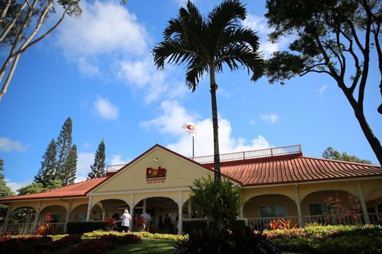 Place Dole Plantation