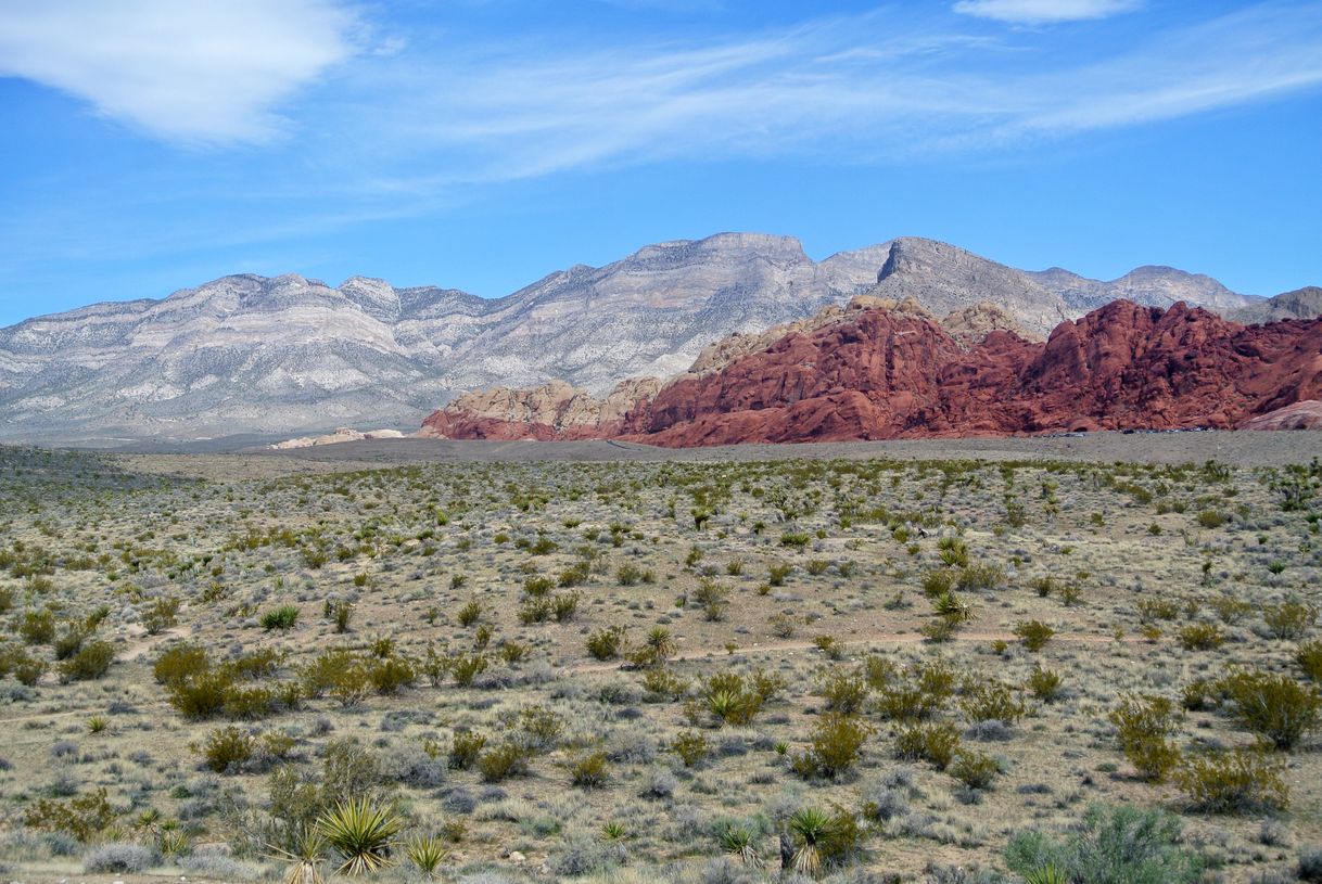 Lugar Red Rock Canyon