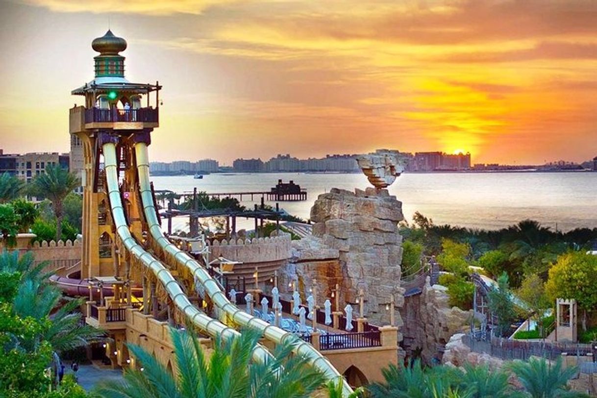 Place Wild Wadi Waterpark