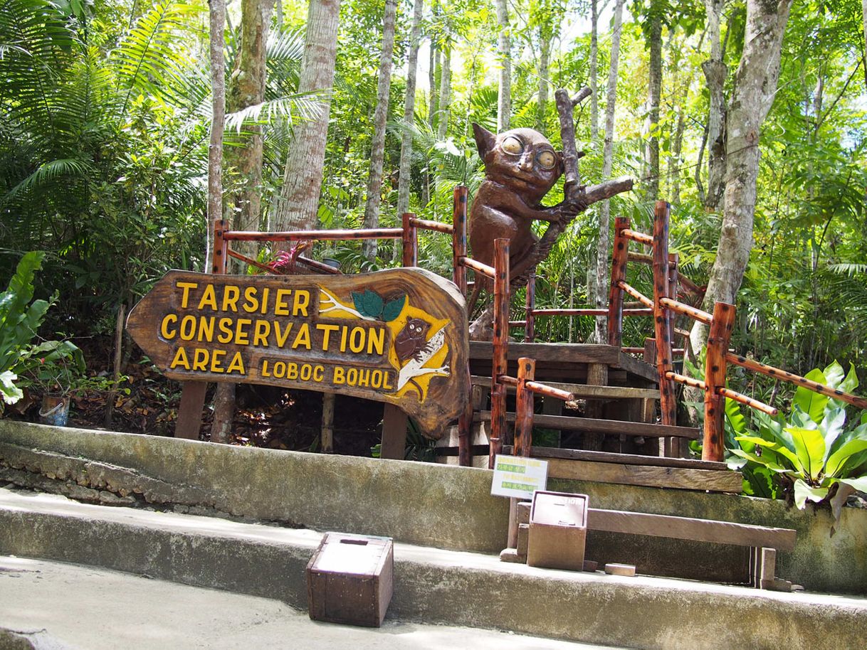 Lugar Tarsier Conservation Area