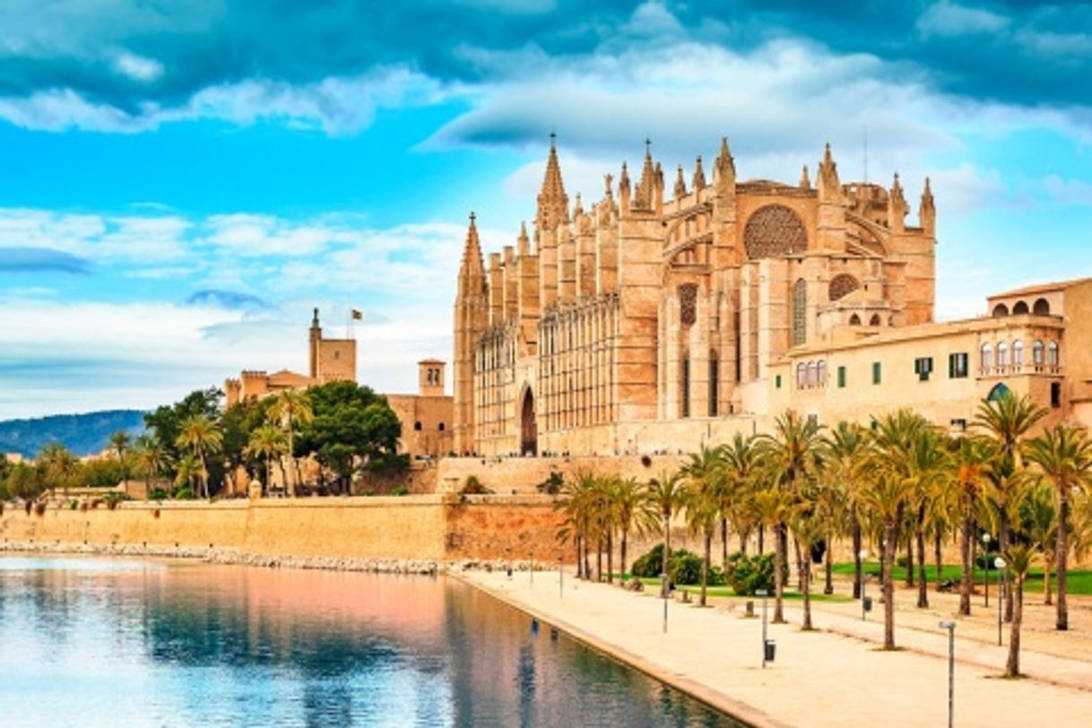 Place Catedral-Basílica de Santa María de Mallorca