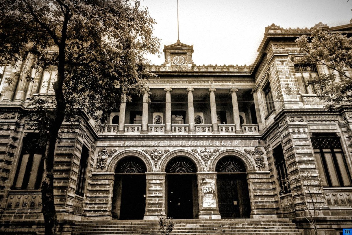 Place Museo del Instituto de Geología de la UNAM