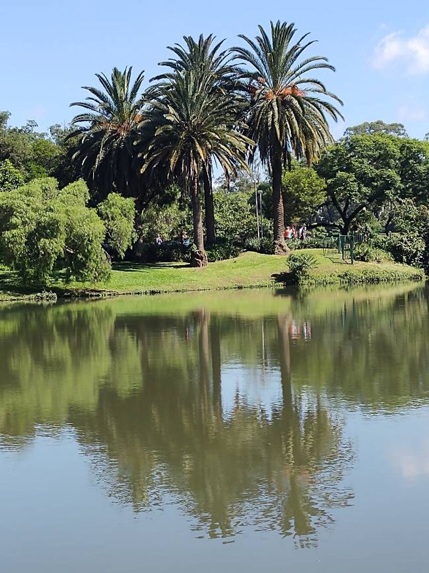 Place Parque Ibirapuera