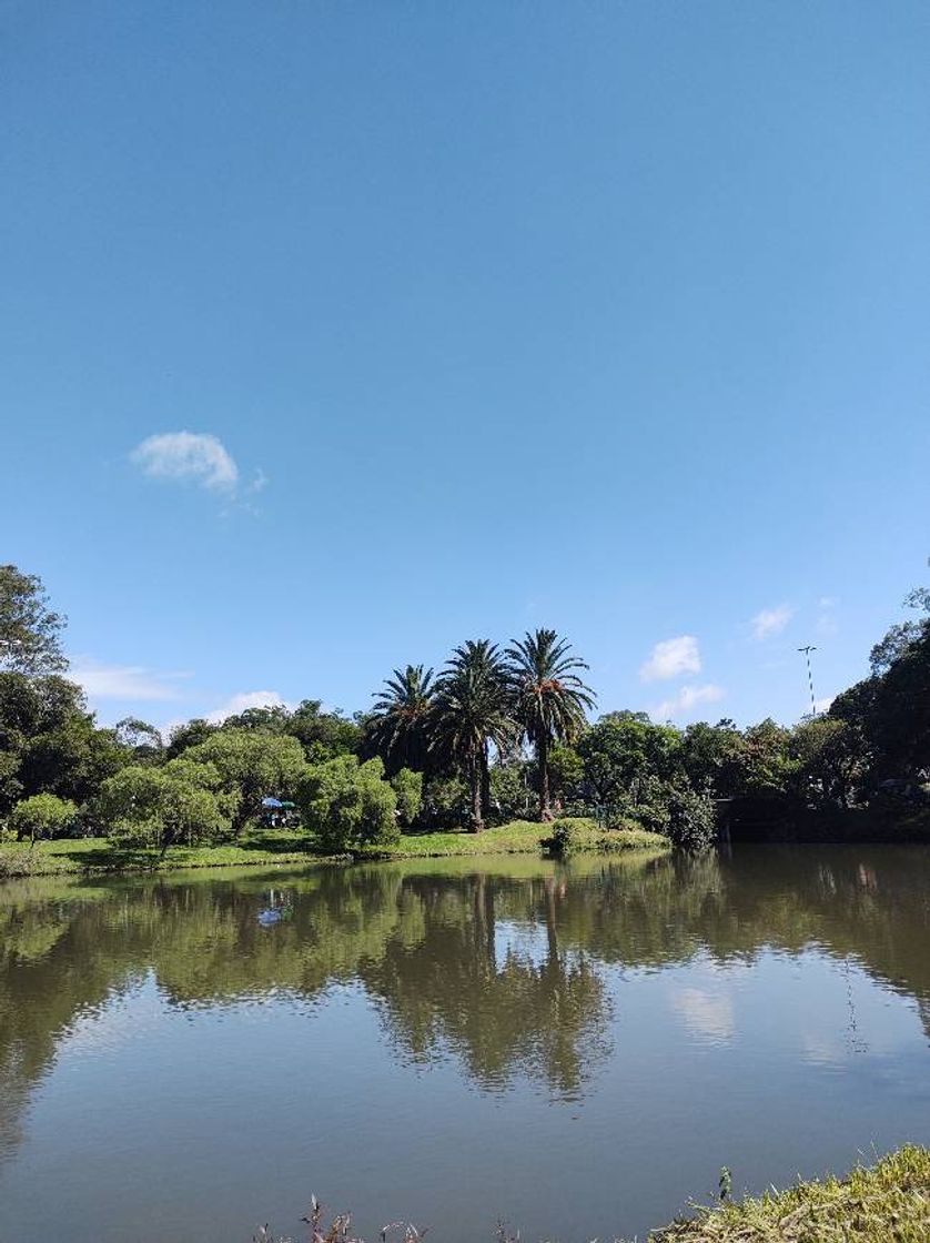 Place Parque Ibirapuera