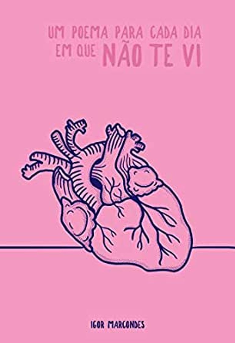 Book Um poema para cada dia em que não te vi 