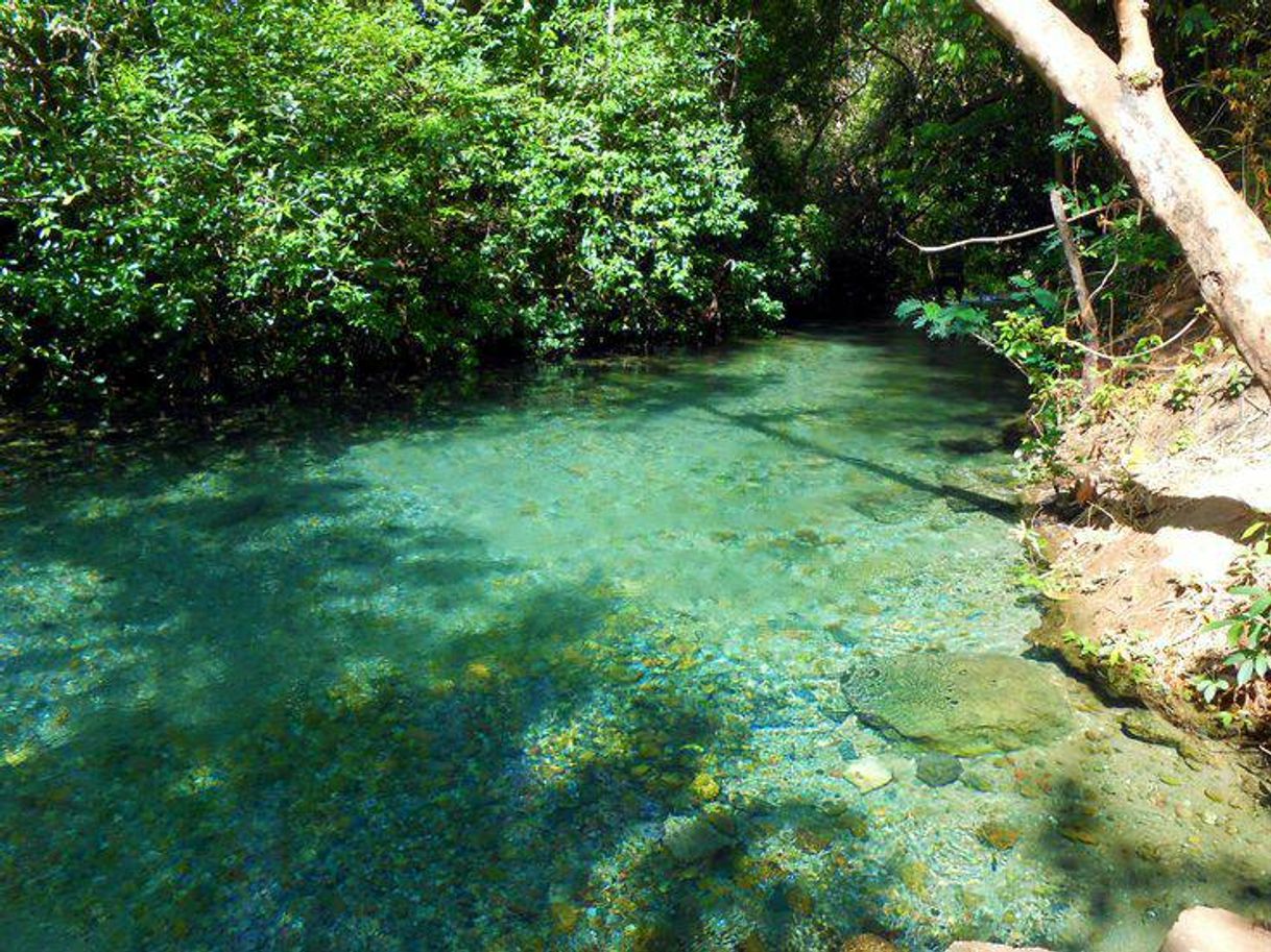 Moda Rio Azuis,Aurora do Tocantins ✨