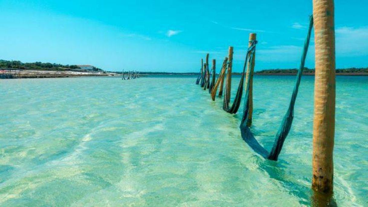 Social Jericoacoara