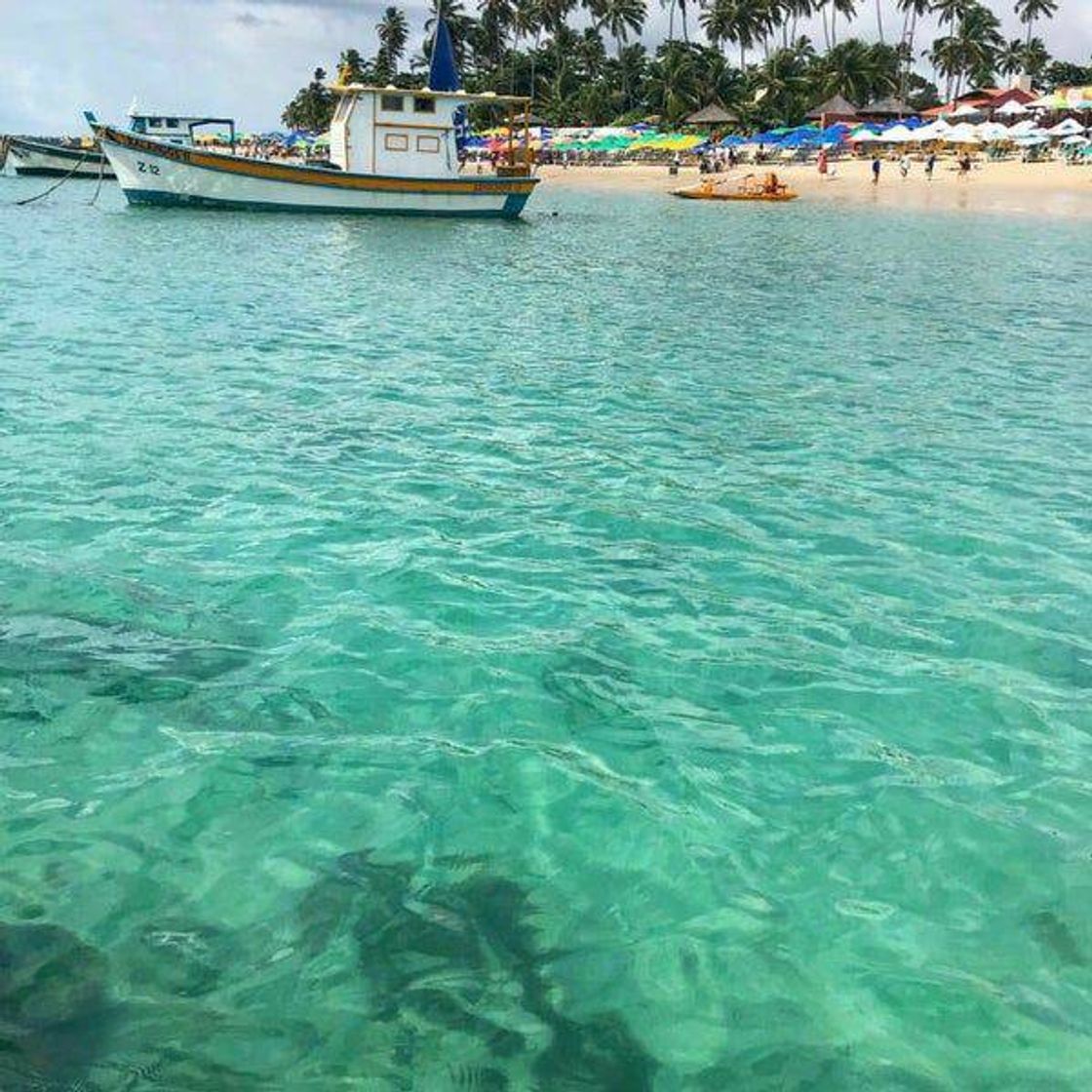 Social Porto de Galinhas