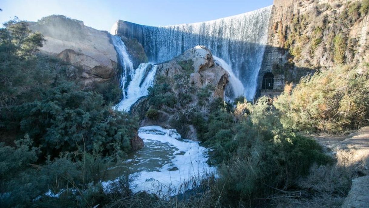 Lugares Pantano De Elche