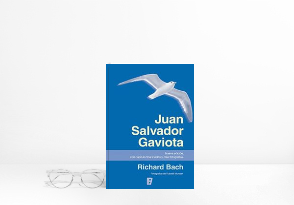 Libro Juan Salvador Gaviota