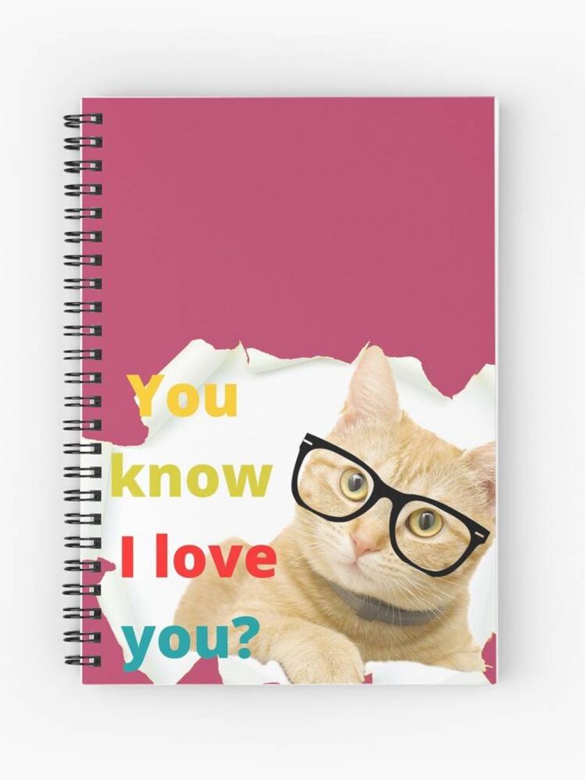 Moda CADERNO Gatinho APAIXONADO😻❤