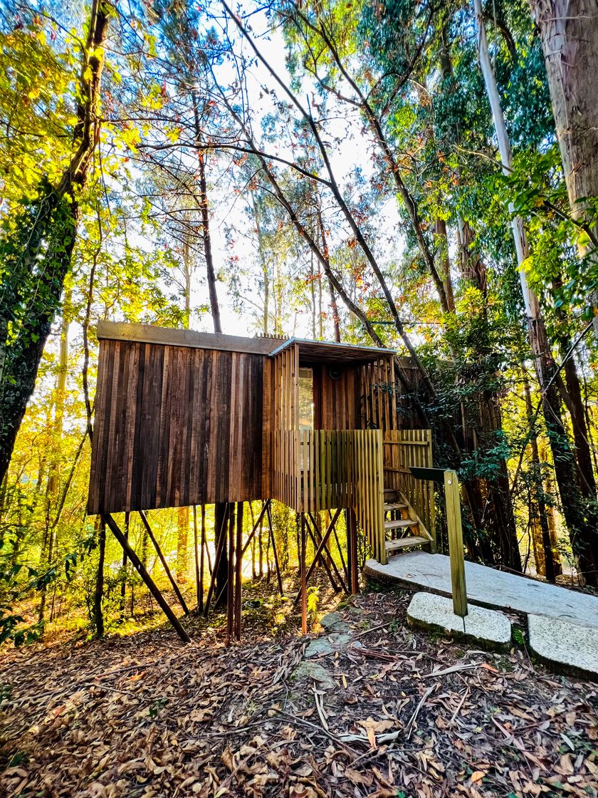 Lugar Cabañitas Del Bosque 🏕💫