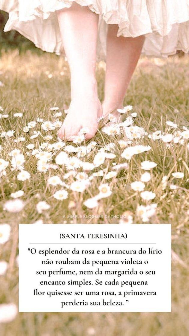 Fashion Frases de Santa Teresinha