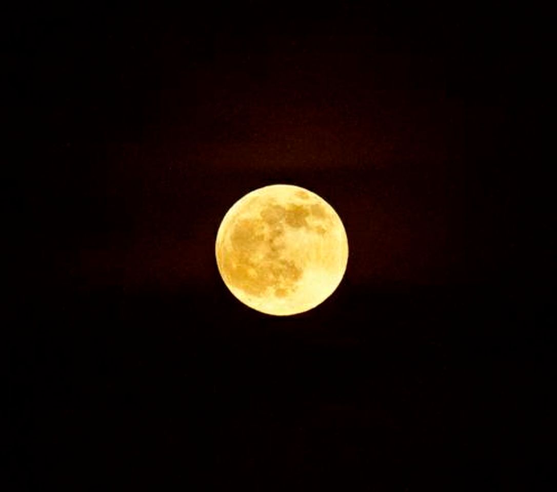 Social Moon