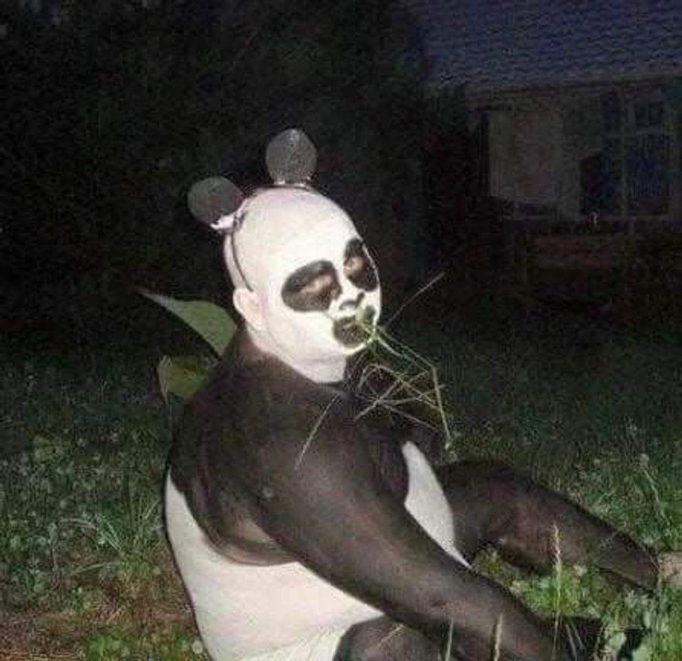 Social panda é encontrado nas matas da amazônia😱