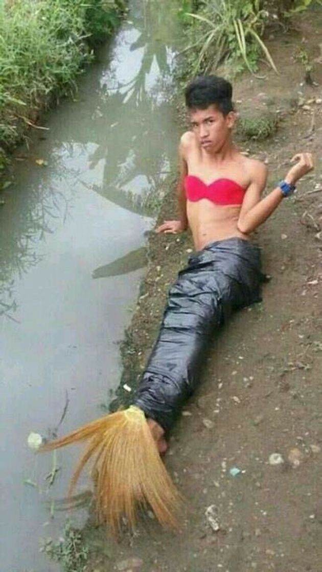 Social sereia é capturada por pescadores esta tarde 