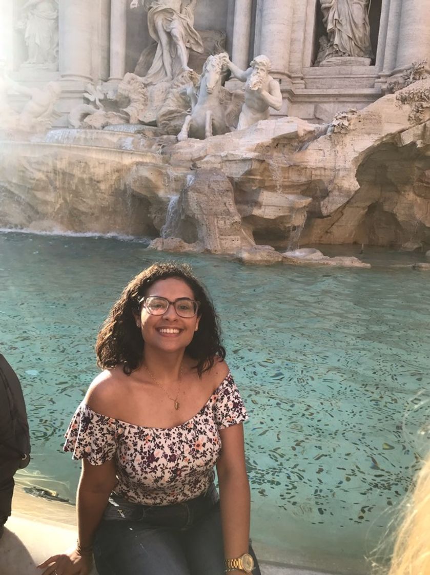 Place Fontana di Trevi