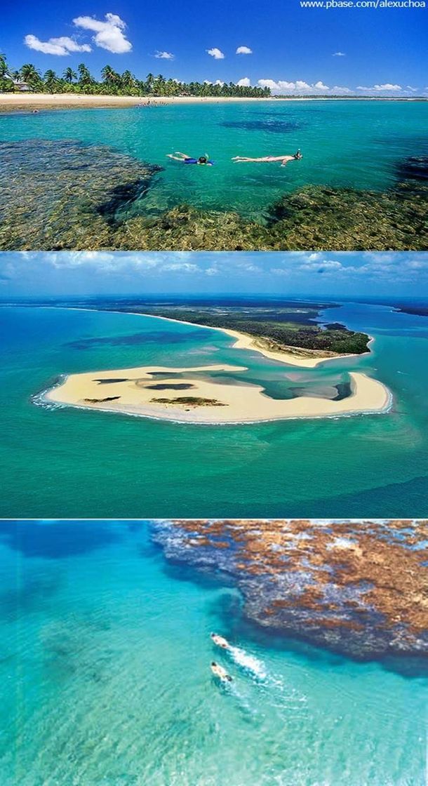 Place Peninsula de Marau - compra e venda de imoveis - Bahia - Brasil