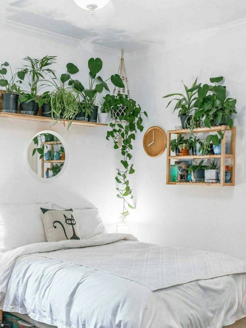 Fashion Casa com plantas