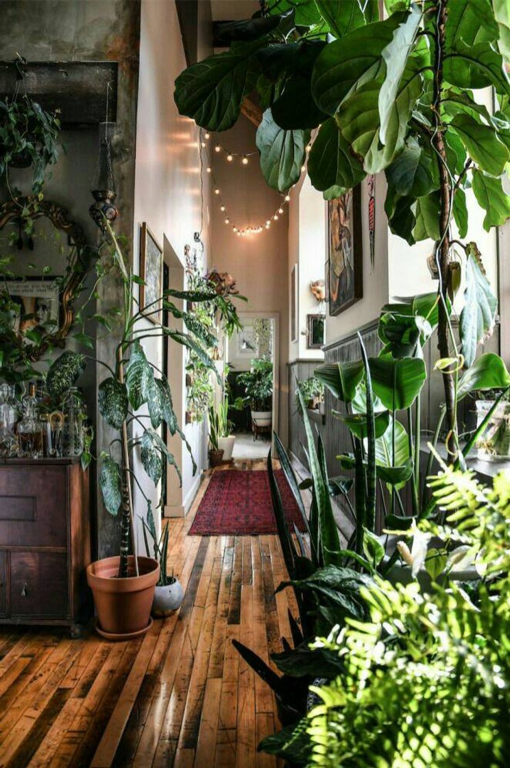 Fashion Casa com plantas