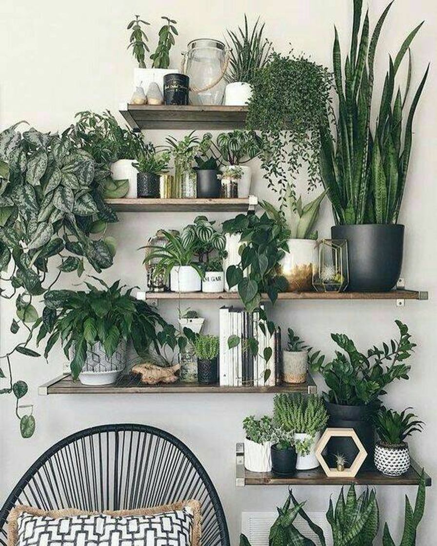 Fashion Casas com plantas