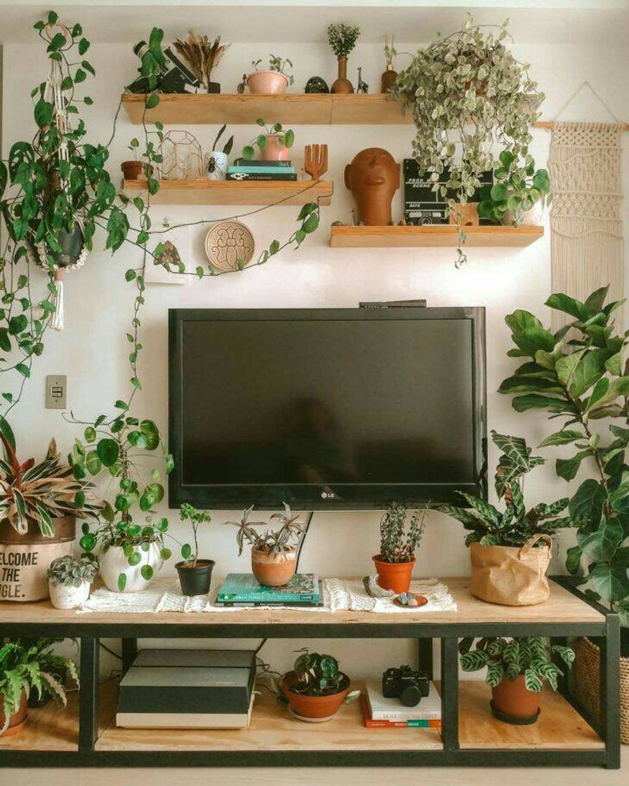 Fashion Casas com plantas