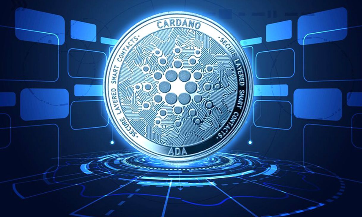 Social Cardano 