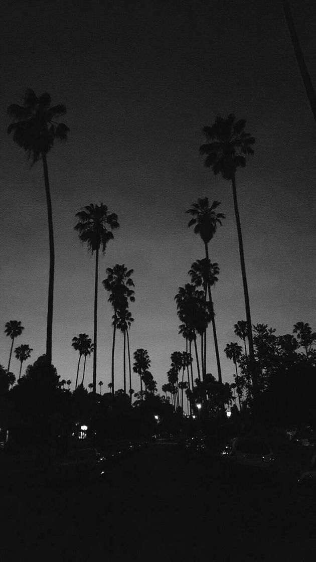 Social dark 