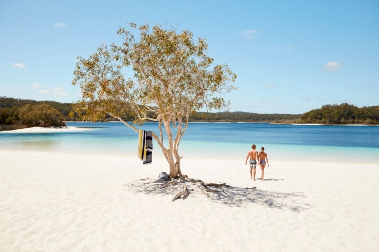 Lugar Fraser Island