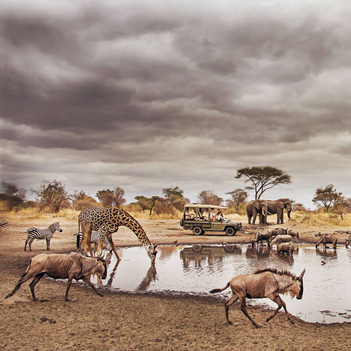 Place Tarangire National Park