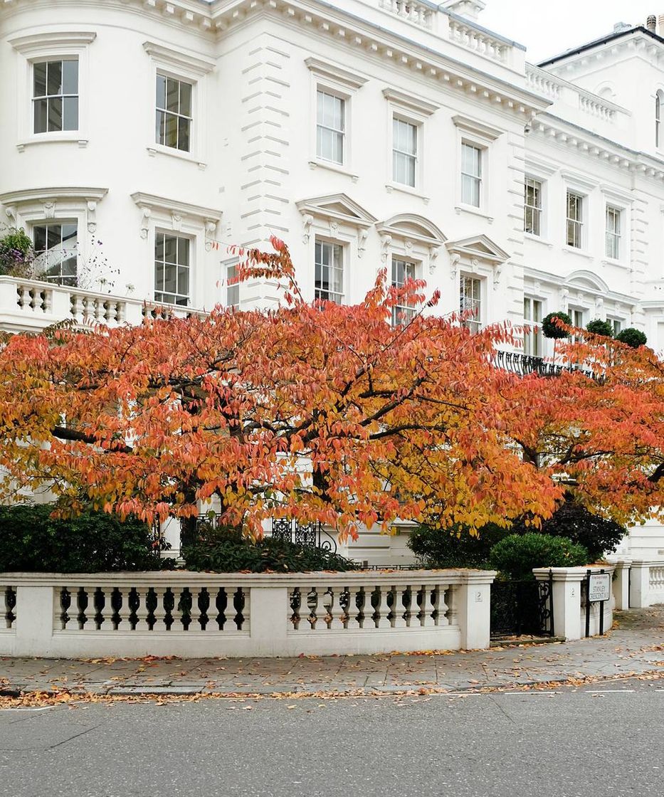 Place Stanley Crescent