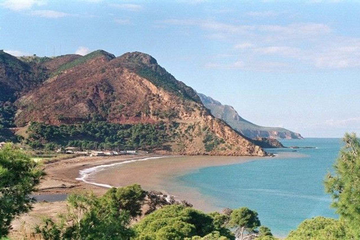 Chlef