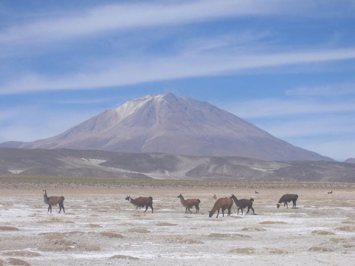 Lugar Volcan Oyahue