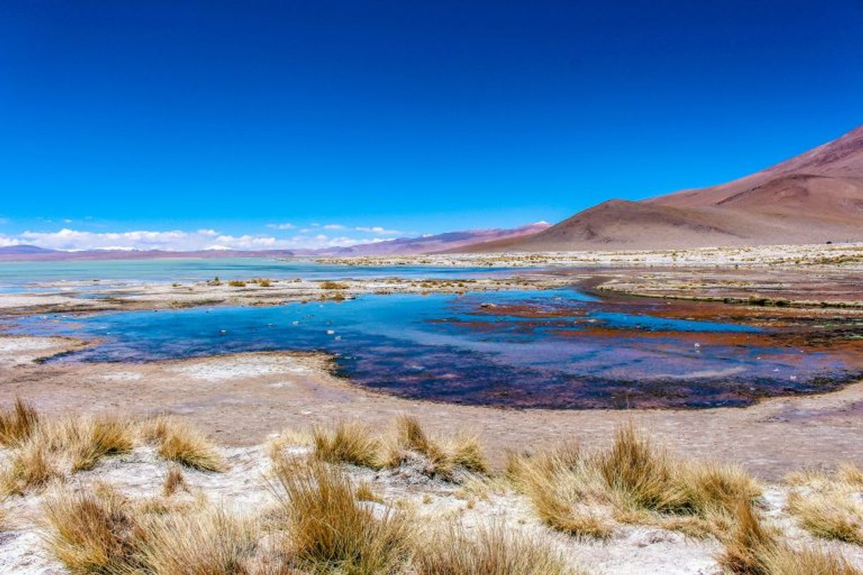 Places Salar de Chalviri