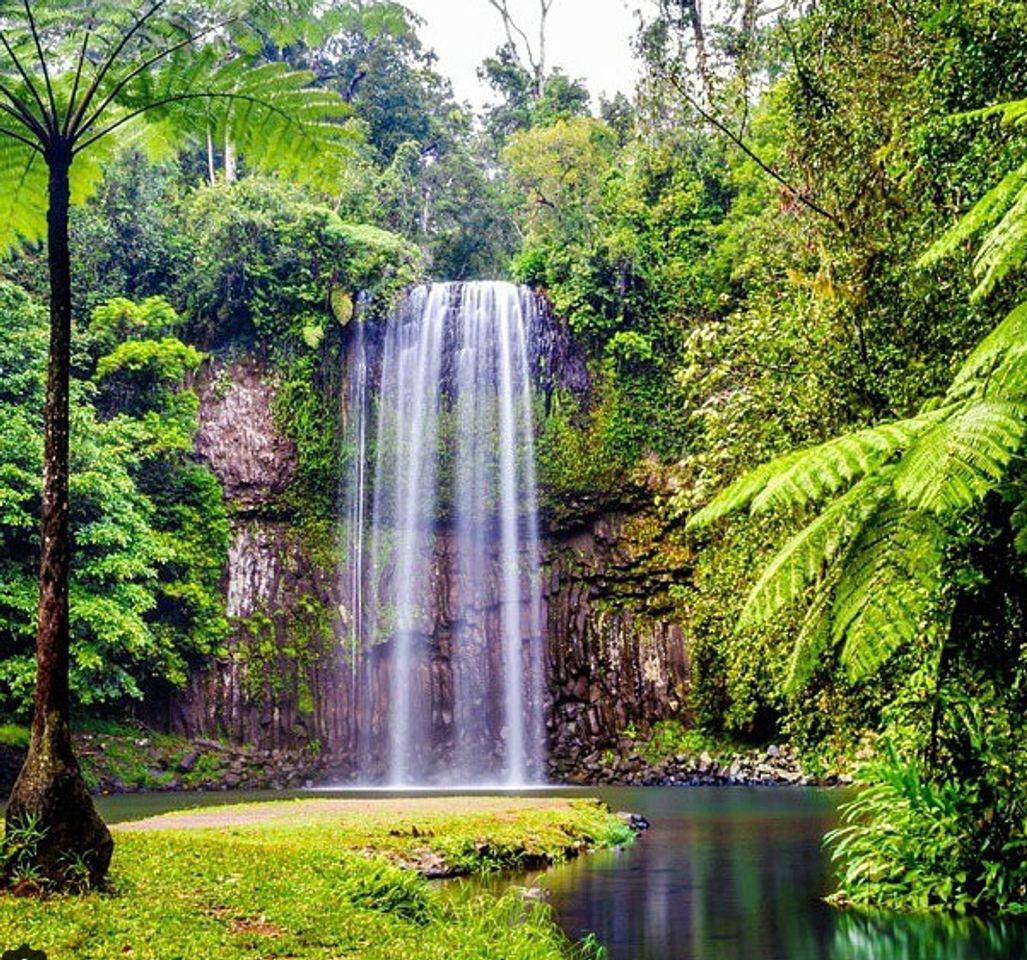 Place Millaa Millaa Waterfall